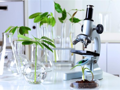 Natural Sciences