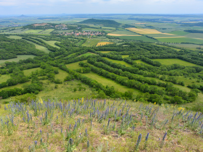 Vernacular historic landscapes of Europe and their preservation within a sustainable landscape