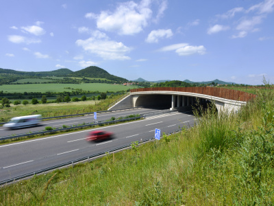 Management for sustainable spatial development
