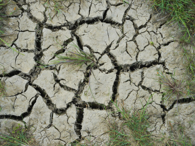 Modelling of hydrological processes under changing climatic conditions