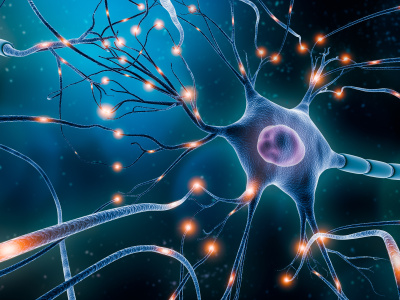 Computational Systems Neuroscience Group