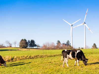 MISTRA Environmental Communication at the Institute of Communication Studies and Journalism (MEC@ICSJ)