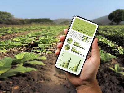Rural resilience in the context of trends in urban-rural digital divide