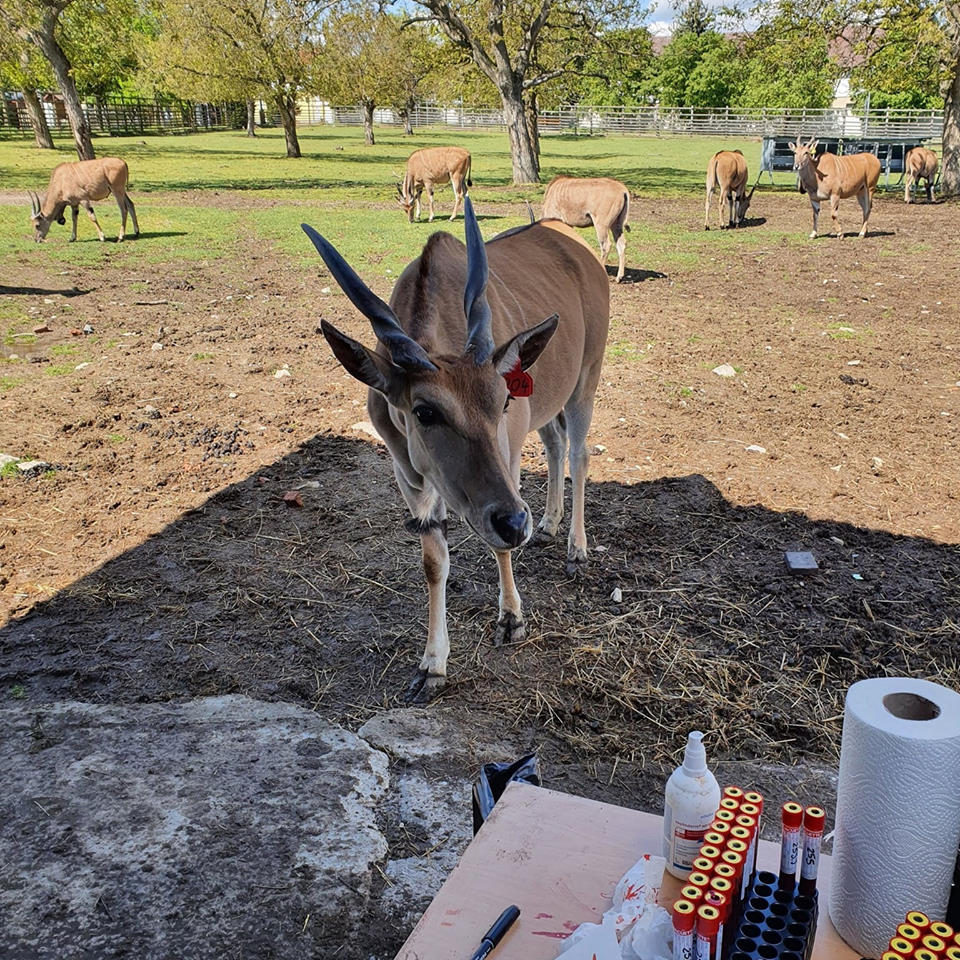Animal Physiology and Behaviour