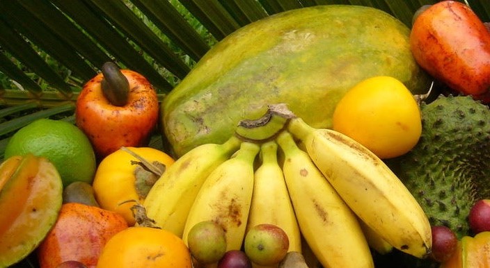 Tropical Biodiversity