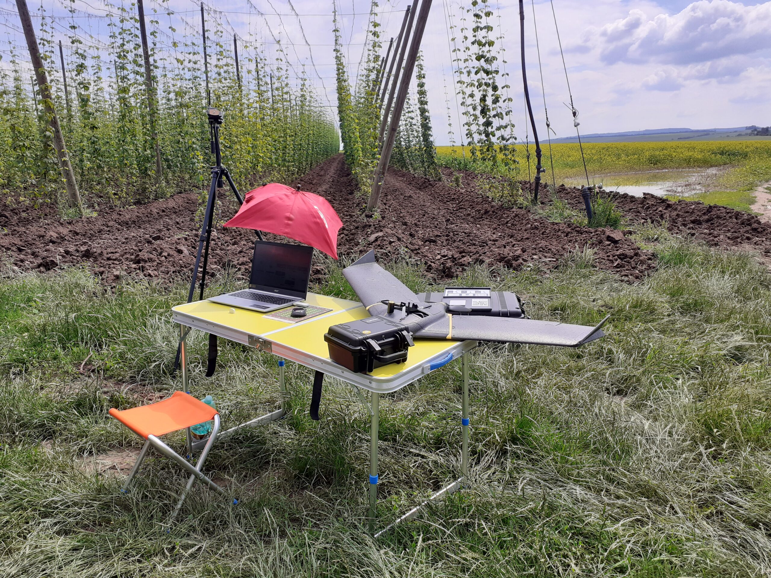 UAV and Geoinformatics as a tool for hop monitoring